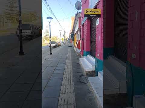 el tabo de mañana un sabado