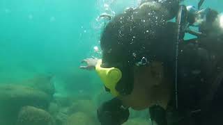 Scuba dive # Srilanka #