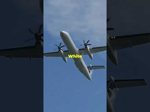 Why AIRPLANES Are Always WHITE? #shorts