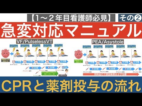 【１〜２年目看護師必見！】急変対応マニュアル🚑その②