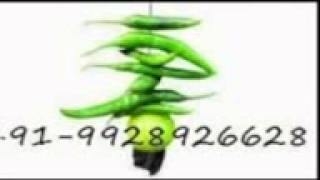 VAshiKARn specialist aghori baba india +91 9928926628