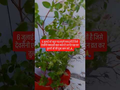 देवसैनी एकादशी🙏#शिव #upay #shivmandirakhadakarala #kedarnath #shivgurukesaavankegaana #love