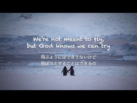 Penguins - Ed Sheeran [和訳]