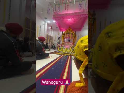 Gurugobind singh jayanti celebration #amritsar #gurudwara #gurudwarasahib #celebration #holyspirit