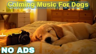 12 HOURS of Dog Calming Music for Dogs🦮💖Anti Separation Anxiety Relief Music🐶🎵Music for Dogs