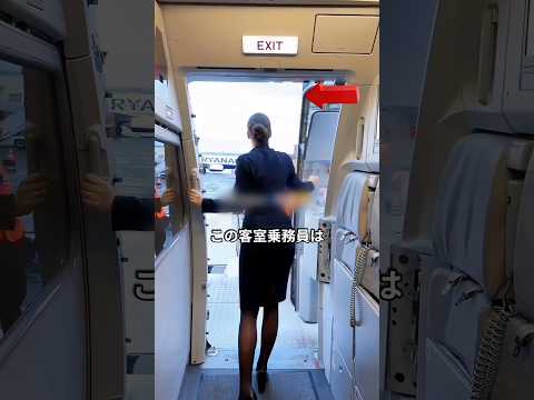 現地スタッフが感動した理由