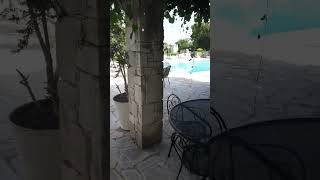 holiday #travel