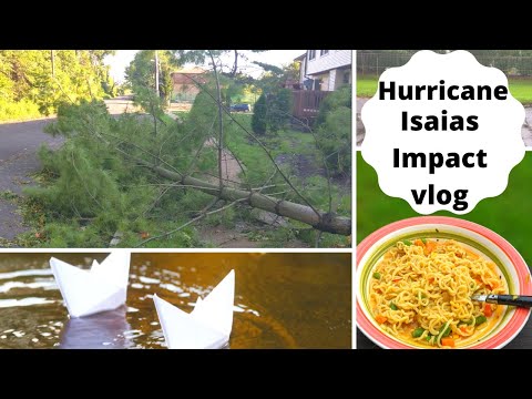 Look What Hurricane Isaias Damaged !!!!! | Indian vlogger in America | [MOM ON THE GO]
