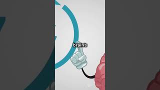 "Why Your Brain Loves Repetition | Master New Skills Faster!"#LearningHacks#BrainScience