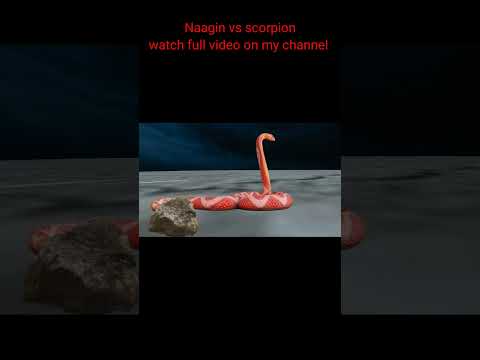 Naagin vs scorpion part 3