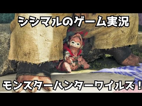 【シシマルのゲーム実況】ひと狩りいこうぜ！モンスターハンターワイルズ！