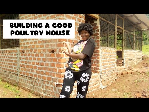 Building a perfect poultry house || Constructing long lasting poultry house for your chickens