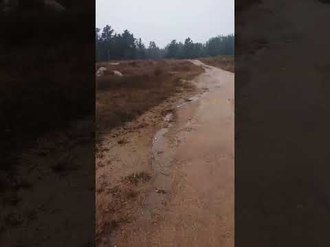 el tabo - tabito llovisna