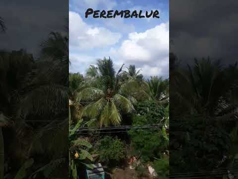 Climate in Perambalur #varisu #thalapathy67 #varisuaudiolaunch #jimikkiponnu #ranjithame #vikram 😉😉