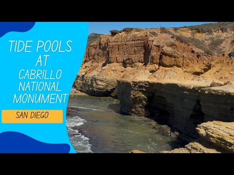Tide pools at Cabrillo National Monument-San Diego