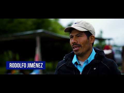 Unicef - Barriletes