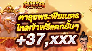 สล็อตแตกดี สล็อตทุนน้อย เว็บตรงสล็อต ที่ดีที่สุด | อากู๋มาลุยมาเฟีย