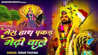 superhit Gogaji bhajan 2024,मेरा हाथ पकड़ मेरी वाले, Mera hath pakad meri wale