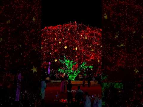 Fort Kochi Biggest Christmas Tree LightUp. #fortkochi #trending