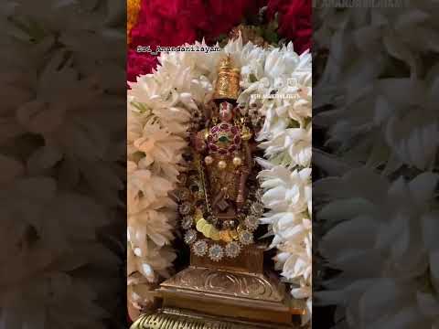 #govinda #balaji #balajibhajan #tirumala #tirumalatirupati #tiruchanoor_padmavathi_ammavari_temple