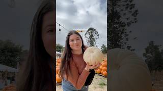 it’s pumpkin patch season 🎃✨🌾 #pumpkinpatch #fall #autumn #aesthetic