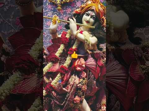 Ram Ayenge Status #ytshorts #brindavan #shriram #radheradhe #shorts #trending