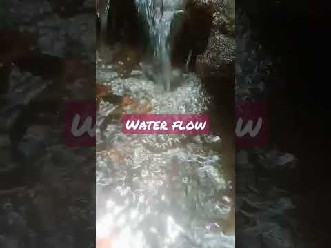 natural water flow #shortvideo #subscribe #waterflow