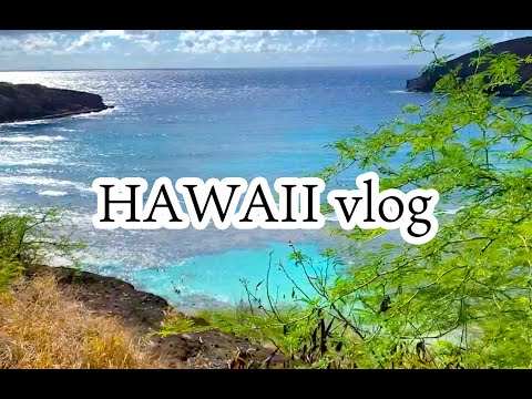 HAWAII ハワイローカルの市バスでハナウマベイへ行く！【旅vlog】