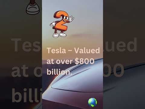 Top 5 Expensive Things Owned by Elon Musk Ever