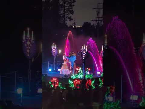 Fantasmic! p2: Pirates & Princesses 💖 Disneyland 🏰 #ASMR Soft Spoken ✨ #Shorts