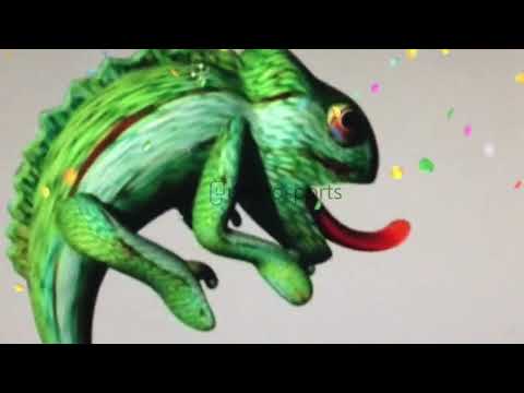 how to making a design from 3D to bounce house