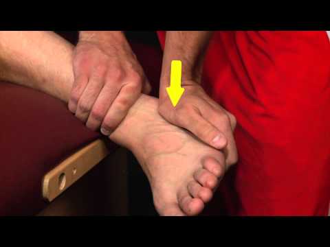 Sub Talar Joint Ankle Medial Glide