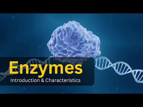 Enzymes Introduction, types and characteristics|| biology