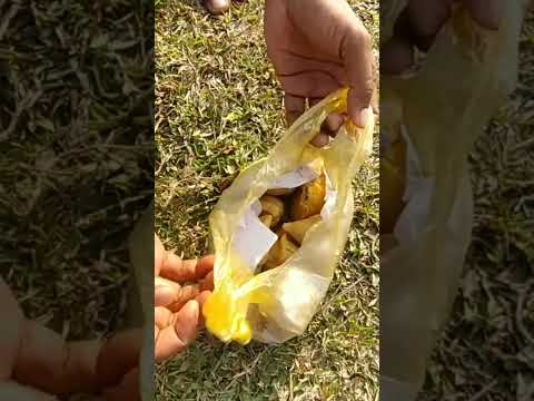 Samosa Khaoge #trending #trendingshorts #viral #shortvideo
