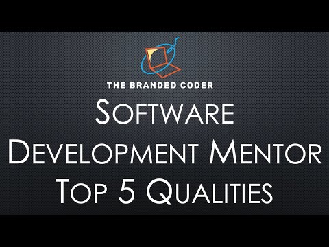 Top 5 Qualities to Look for in a Software Developer Mentor