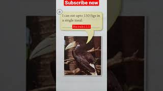 General Knowledge for kids 8