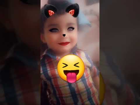 WhatsApp Video
