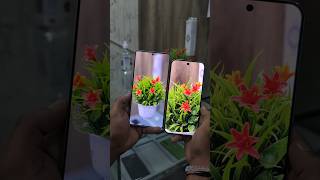 Samsung S25 Ultra vs Google Pixel 9 Pro XL | Camera Test for Portrait Mode #shorts #s25ultra