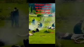 #har hui sachhai ki #pahalgam #shortvideo #jaihind #jaibharat #terrorattacks #1.1M View