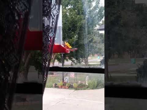 Window hummingbird feeder part2