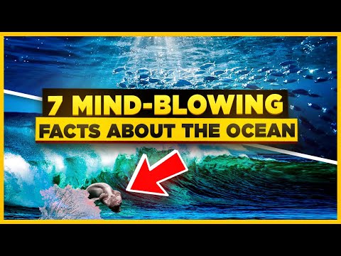 7 Mind-Blowing Facts About the Ocean you didn't know