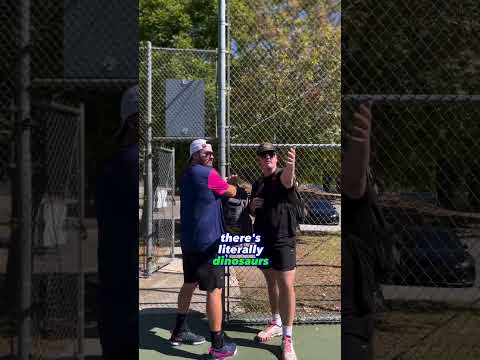 Unbelievable Moment: Dinosaurs found playing pickleball!