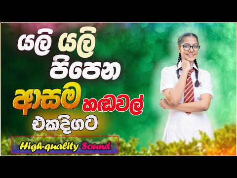 Live Band Old Songs | Artist Sinhala Sindu | Best New Sinhala Songs Collection | Sinhala New Song