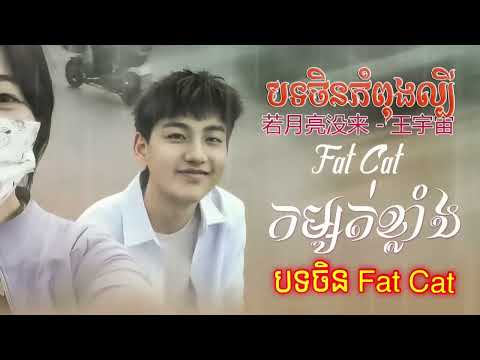 បទចិន Fat Cat 😢   若月亮没来   王宇宙 បទចិនកំពុងល្បី កម្សត់ខ្លាំង SONG SAD 😔