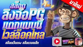สล็อตpg เว็บตรงไม่ผ่านเอเย่นต์ สล็อตแตกง่าย สล็อตเว็บตรงแตกง่าย เว็บสล็อตเว็บตรง สล็อตแตกง่ายเว็บตรง