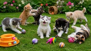 🐾 Kitten Chaos: Tiny Paws, Bright Toys & Endless Playtime Magic in the Garden! 🌸