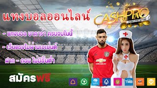 แทงบอล เว็บแทงบอล เว็บตรงไม่ผ่านเอเย่นต์ ครบจบในเว็บเดียว