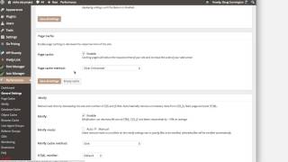 How to configure W3 Total Cache - Niche Site Project