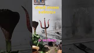 सोमवती अमावस्या स्टेटस वीडियो #music