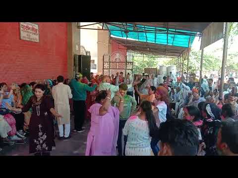 vrindavan dham #dance #shorts #vrindavan #premmandir #viral #holi
